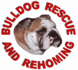 Bulldog Rescue and Rehoming Trust