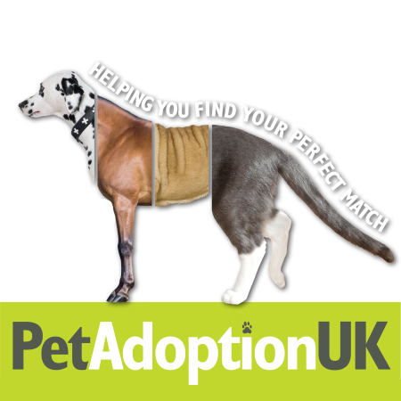 Pet Adoption UK